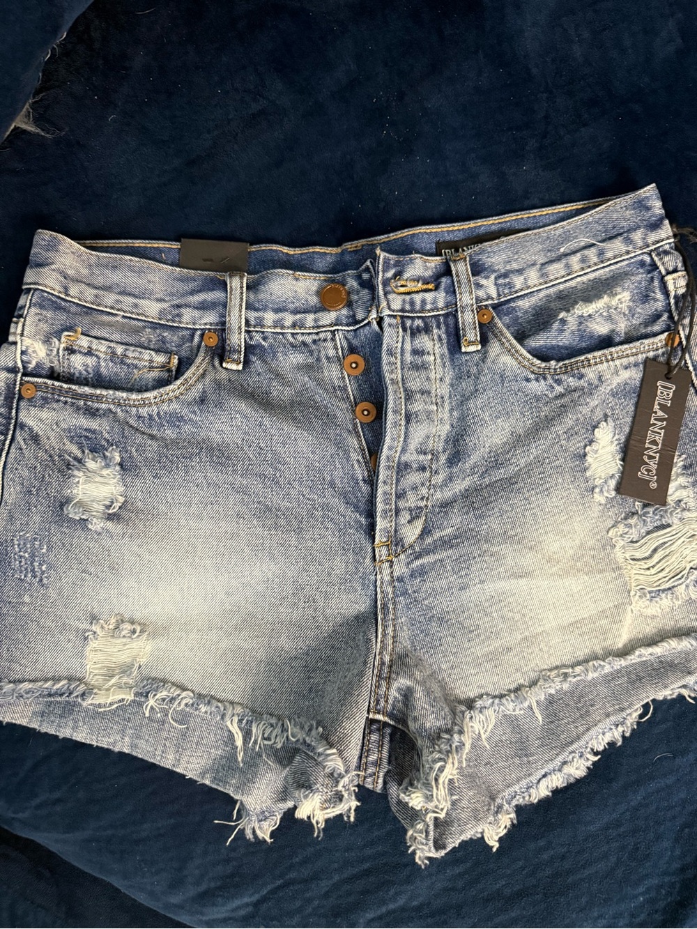 Blank NYC Frayed Light Blue Distressed Denim Shorts